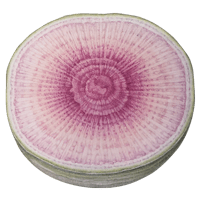 Chinese radish