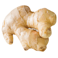 ginger root