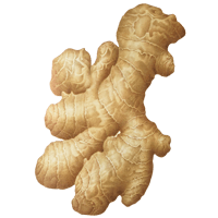 ginger