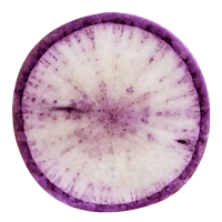purple daikon