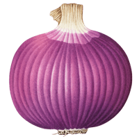 red onion